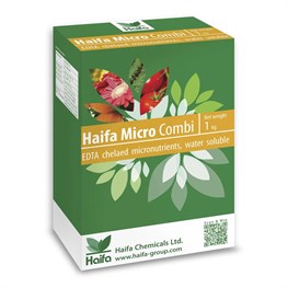 MICRO COMBI PS HAIFA - KG. 1